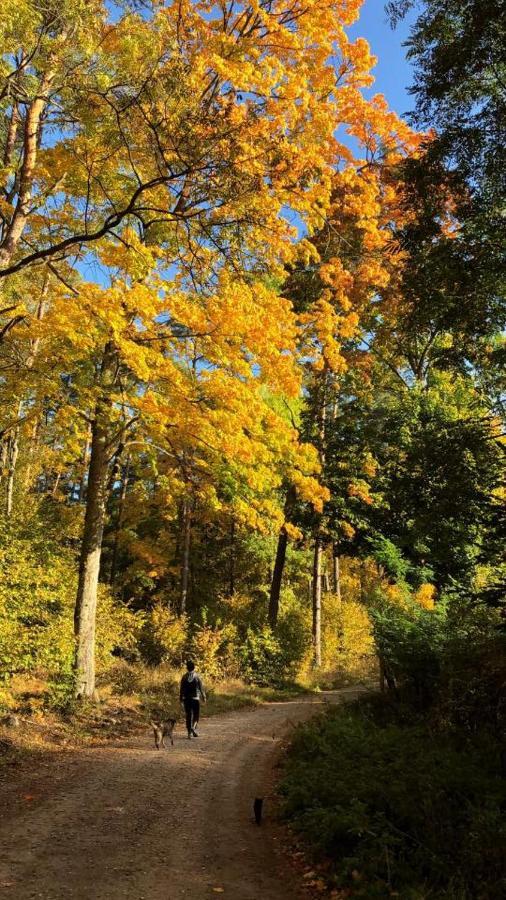 Pokoje Cztery Pory Roku Mikołajki Esterno foto